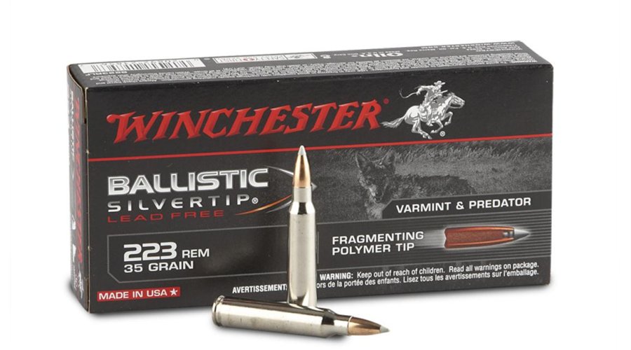 Munizioni 223 Silvertip