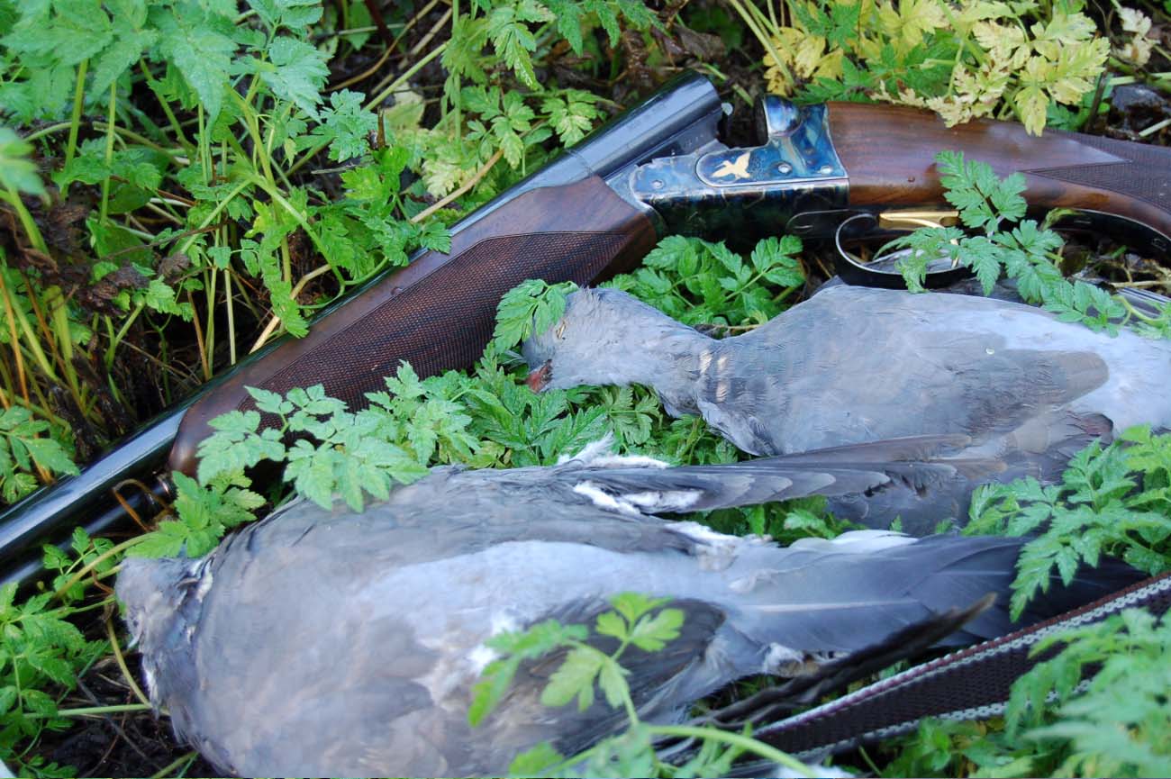 munizioni: Cartucce da colombacci