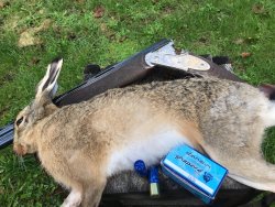 Danesi Ghepard e Ghepard Ten: cartucce calibro 12 e calibro 20 Danesi Ghepard per la caccia alla lepre