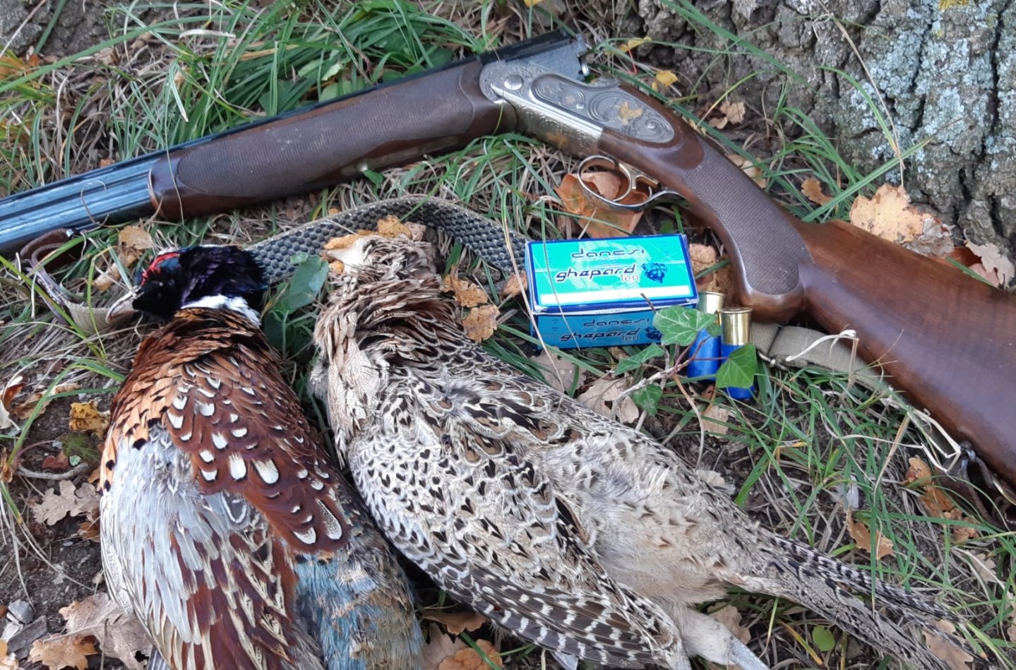 Danesi Ghepard e Ghepard Ten: cartucce calibro 12 e calibro 20 Cartucce Danesi Ghepard Ten con fucile e fagiani