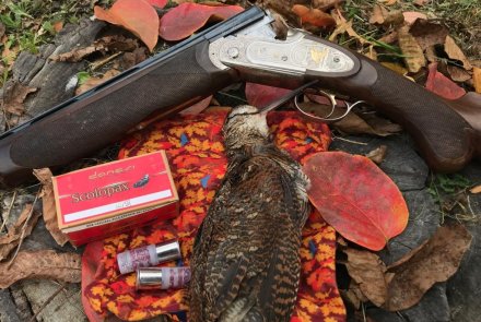 Cartucce Danesi con fucile e beccaccia