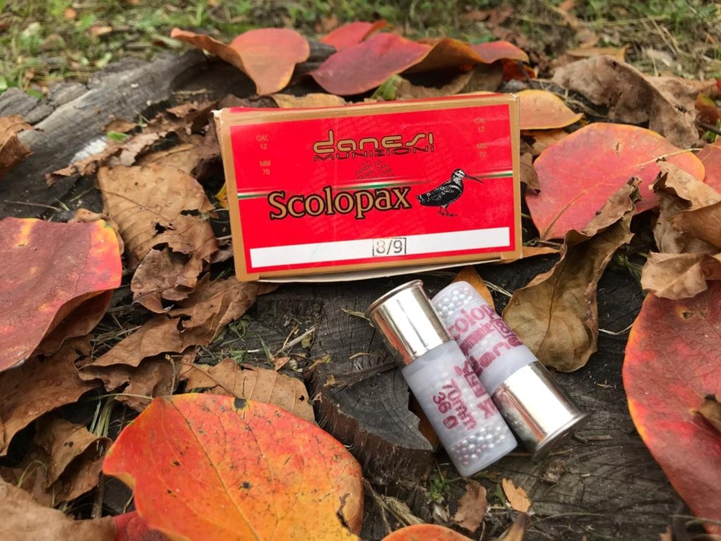 Danesi Scolopax cartucce dispersanti