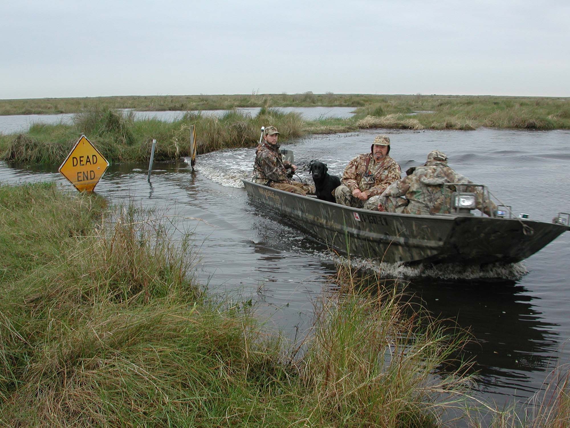munizioni: Divieto delle munizioni con piombo: partecipate al sondaggio FACE - aiuterà a proteggere i nostri interessi