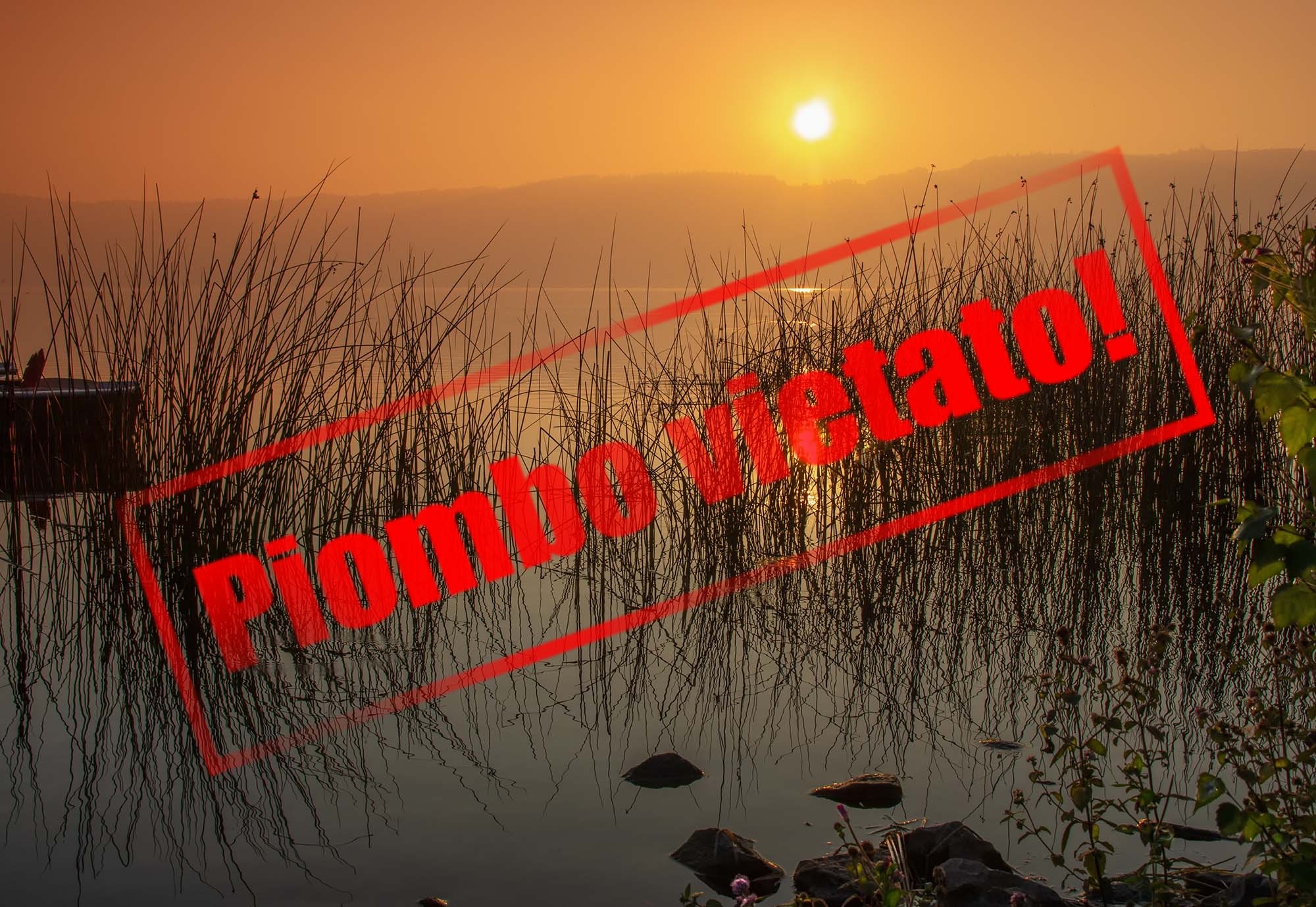 munizioni: La UE non “gioca pulito”: la FACE chiede all'ECHA di riaprire la consultazione sulla procedura di restrizione del piombo nelle munizioni