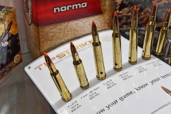 Norma Ecostrike & Tipstrike, munizioni da caccia Cartucce da caccia Norma Tipstrike