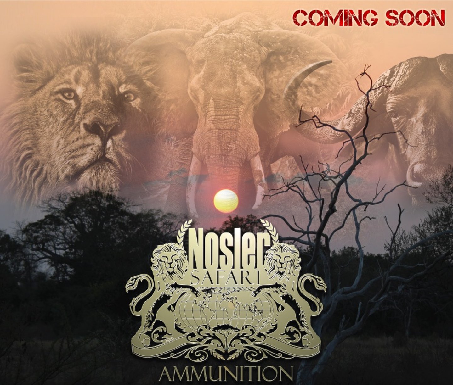 Nosler Safari Ammunition