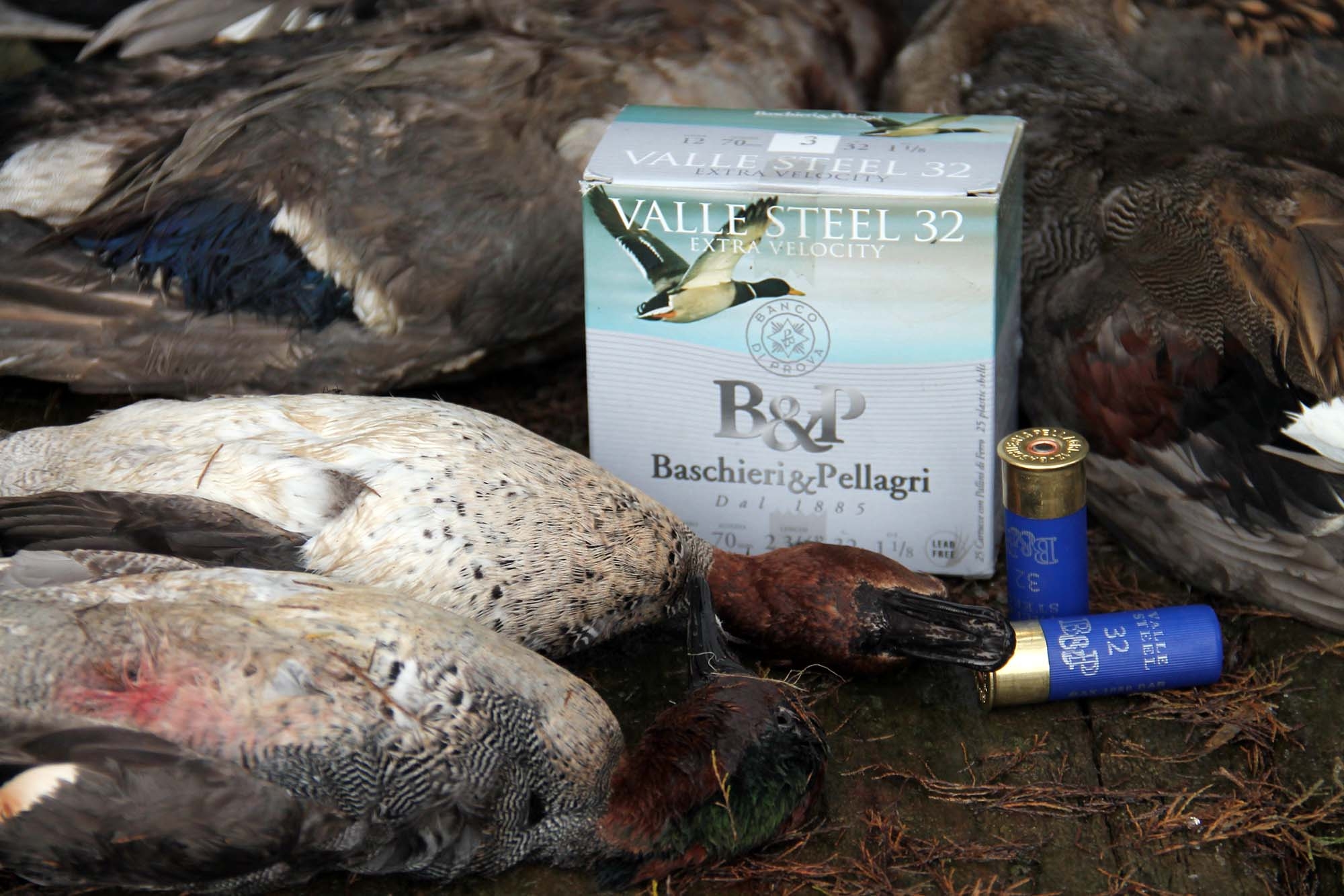 munizioni: Cacciare con i pallini in acciaio