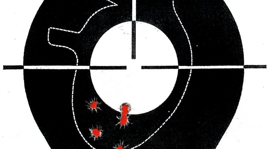 RWS HIT ed EVO Green: Deformazione contro frammentazione RWS Hit Bersaglio