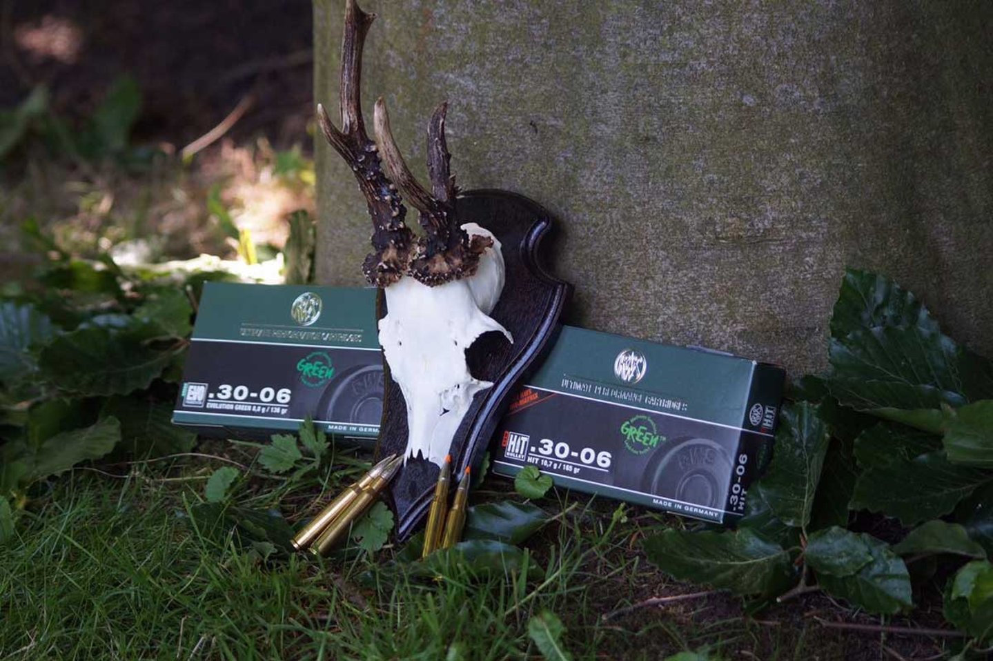 Caccia al capriolo con RWS Evolution Green Confezioni RWS HIT e RWS EVO Green in .30-06 con palchi