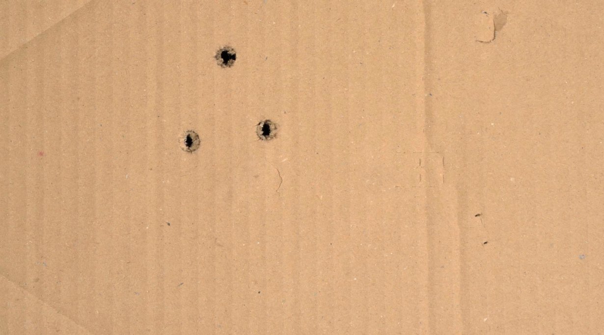 RWS HIT .30-06 Springfield a 100 metri
