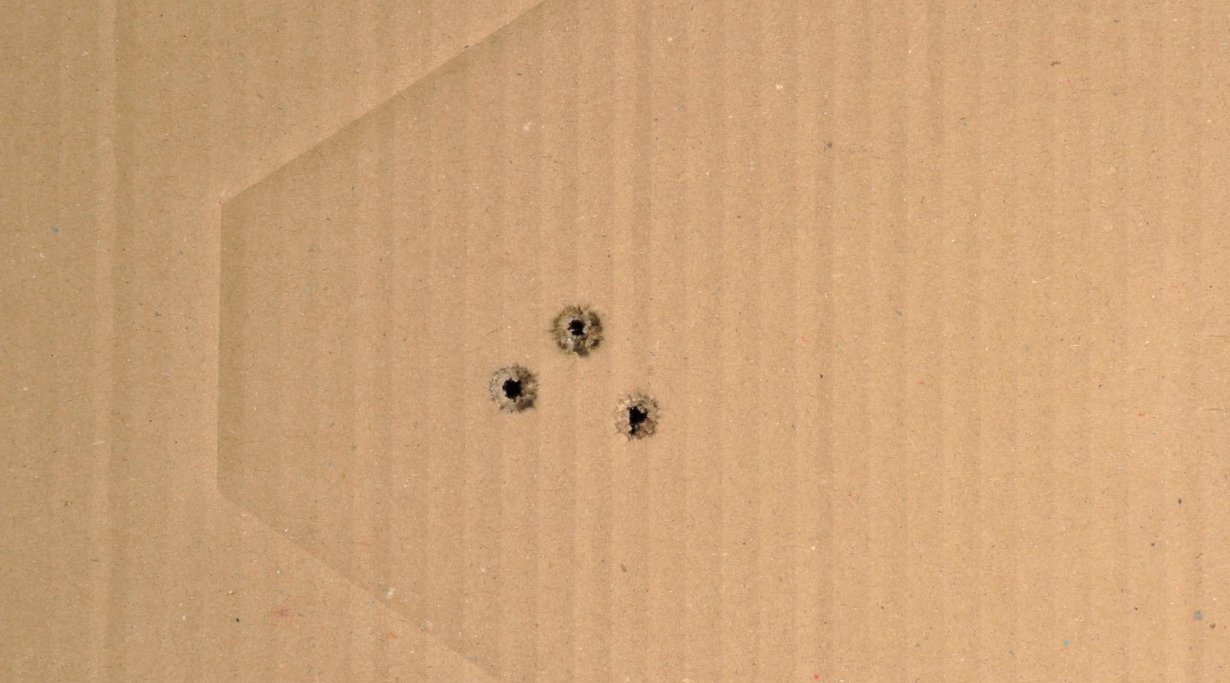 RWS HIT .30-06 Springfield a 50 metri
