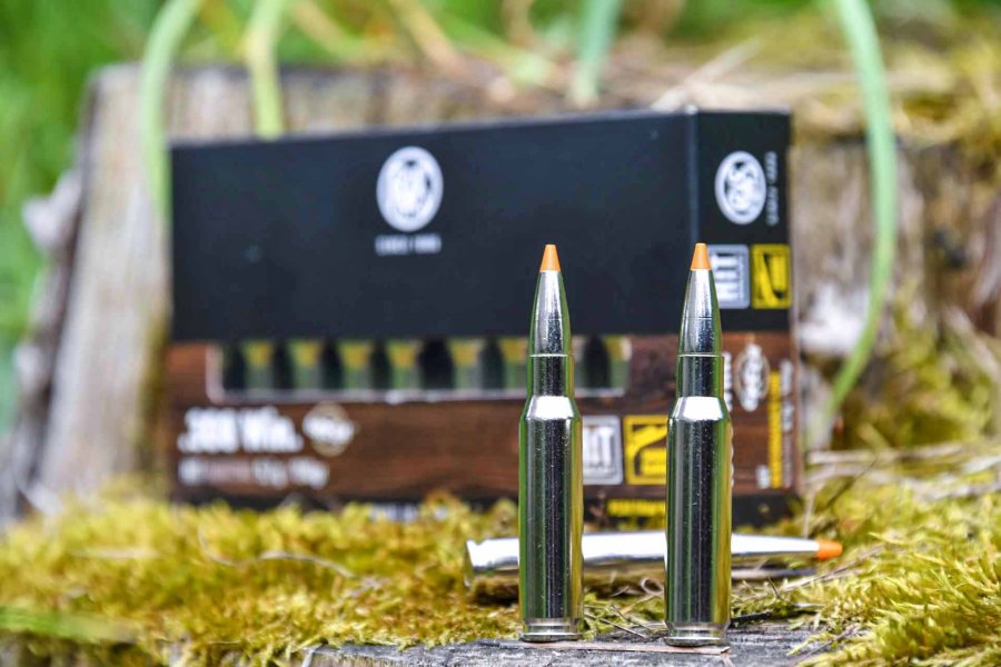 RWS Short Rifle: munizioni per carabine con canna corta RWS Short Rifle munizione in calibro .308 Winchester