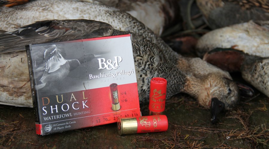 Caccia alle anatre con Baschieri & Pellagri leghe speciali Baschieri Dual Shock da 32 grammi calibro 12