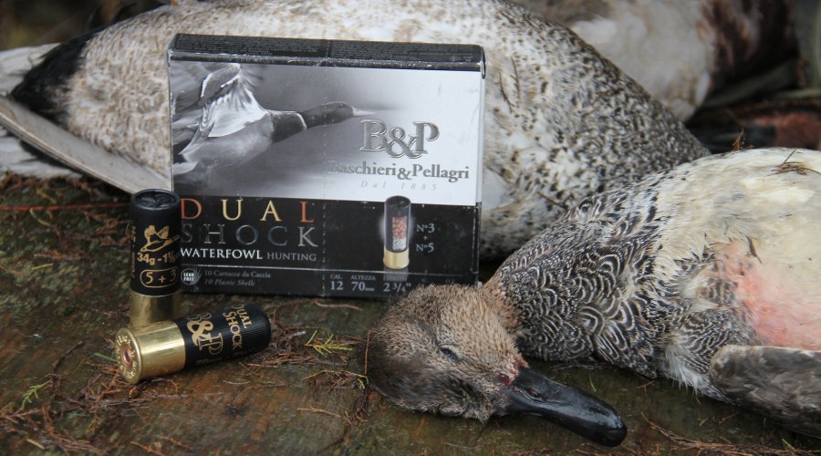 Caccia alle anatre con Baschieri & Pellagri leghe speciali Cartucce Baschieri Dual Shock calibro 12