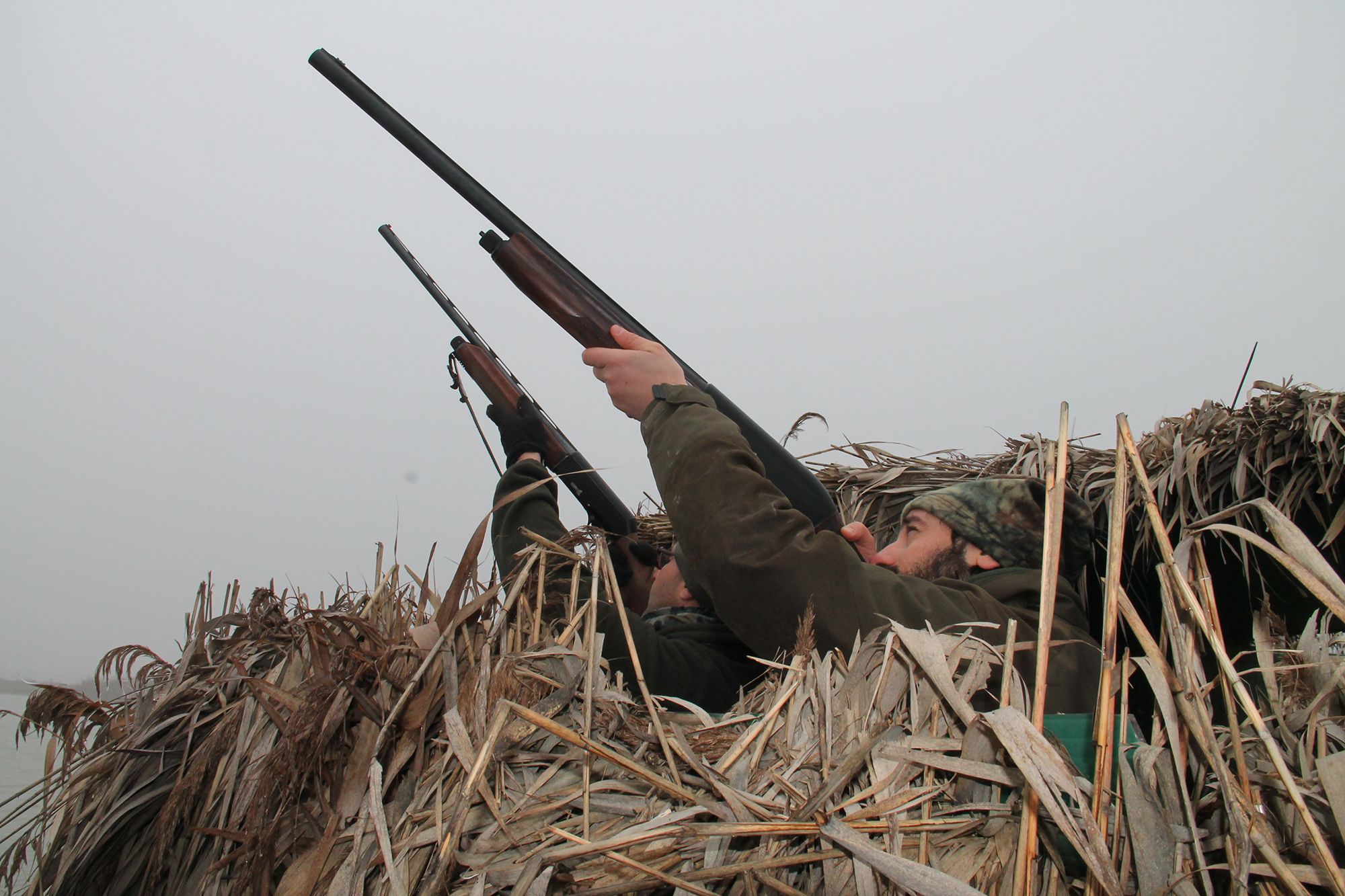 baschieri-pellagri: Video: Caccia alle anatre con Baschieri & Pellagri leghe speciali