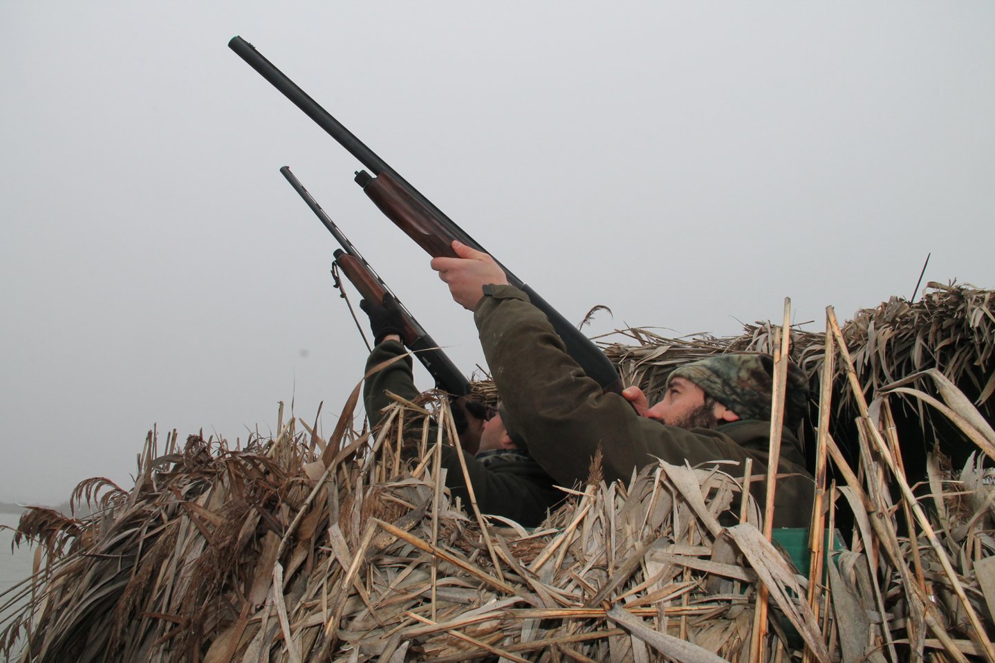 Caccia alle anatre con Baschieri & Pellagri leghe speciali Tiro alle anatre