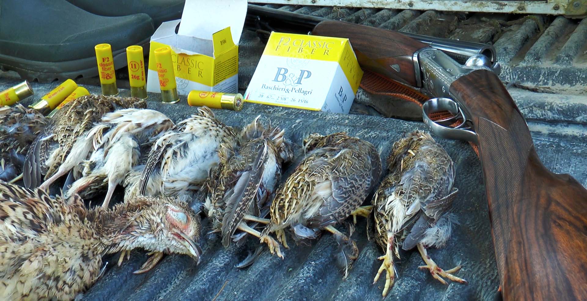 baschieri-pellagri: VIDEO: cartucce Baschieri & Pellagri da apertura. Caccia con F2 Classic Fiber calibro 20