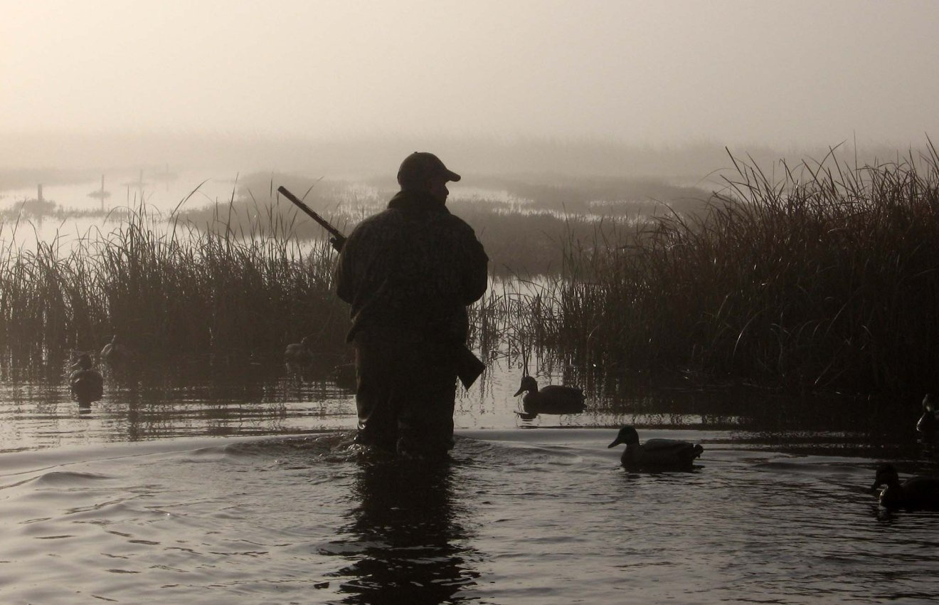 munizioni: Perché vietare il piombo nelle munizioni è solo un atto di discriminazione nei confronti di tiratori e cacciatori