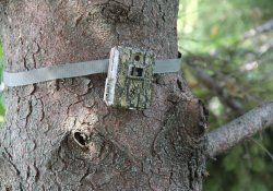 Fototrappole Browning: C&C Hunting Fotocamera Browning Command Ops Pro