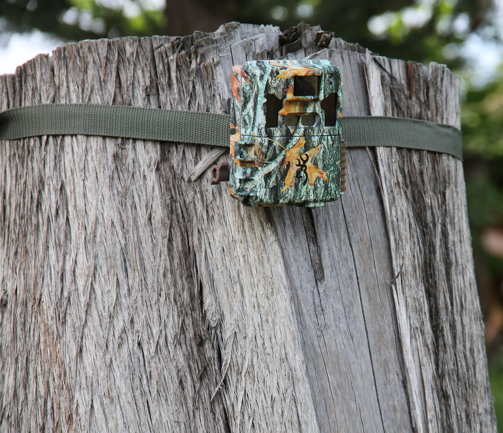 cc-hunting: Fototrappole Browning: C&C Hunting