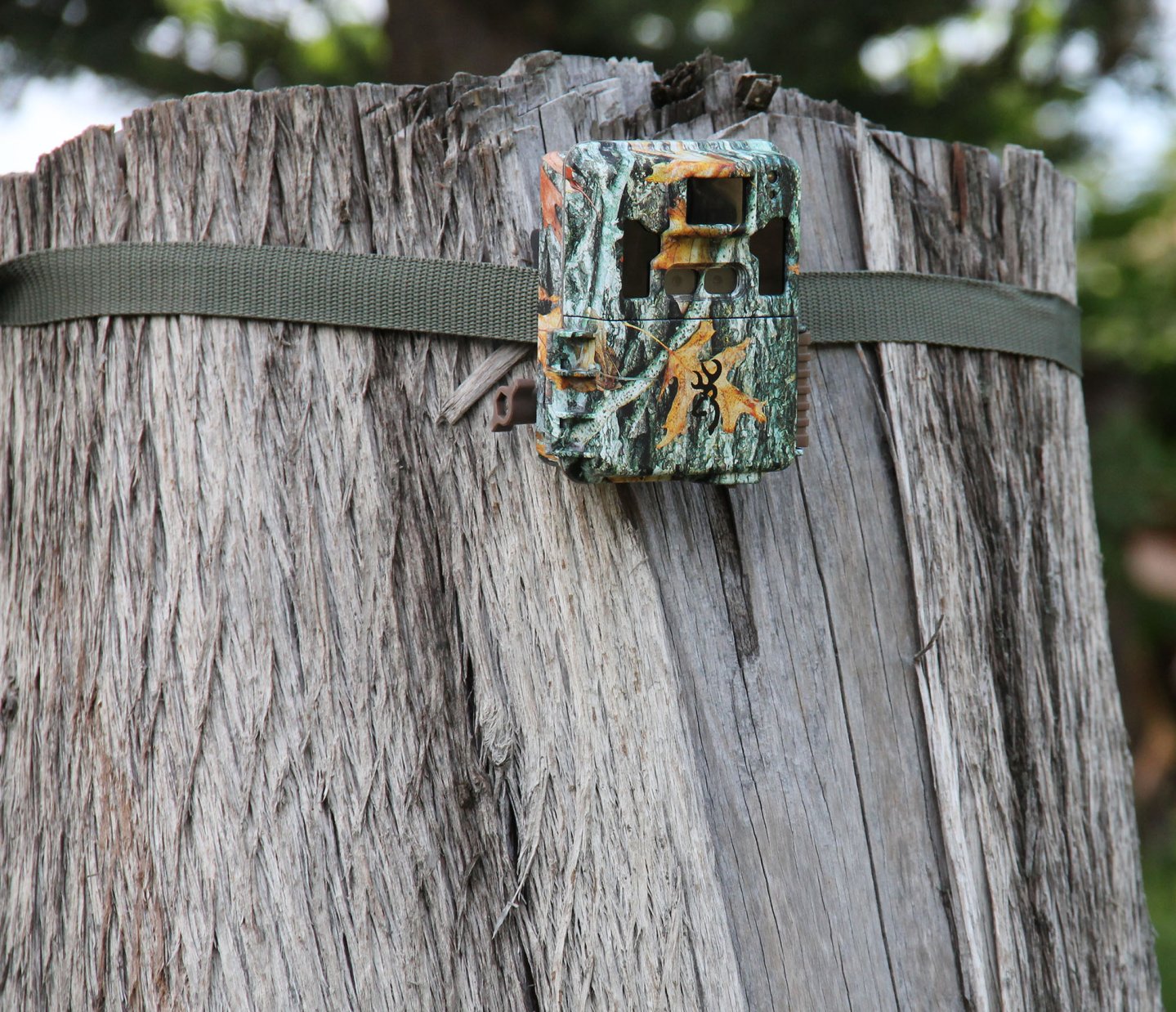 Fototrappole Browning: C&C Hunting legata all'albero