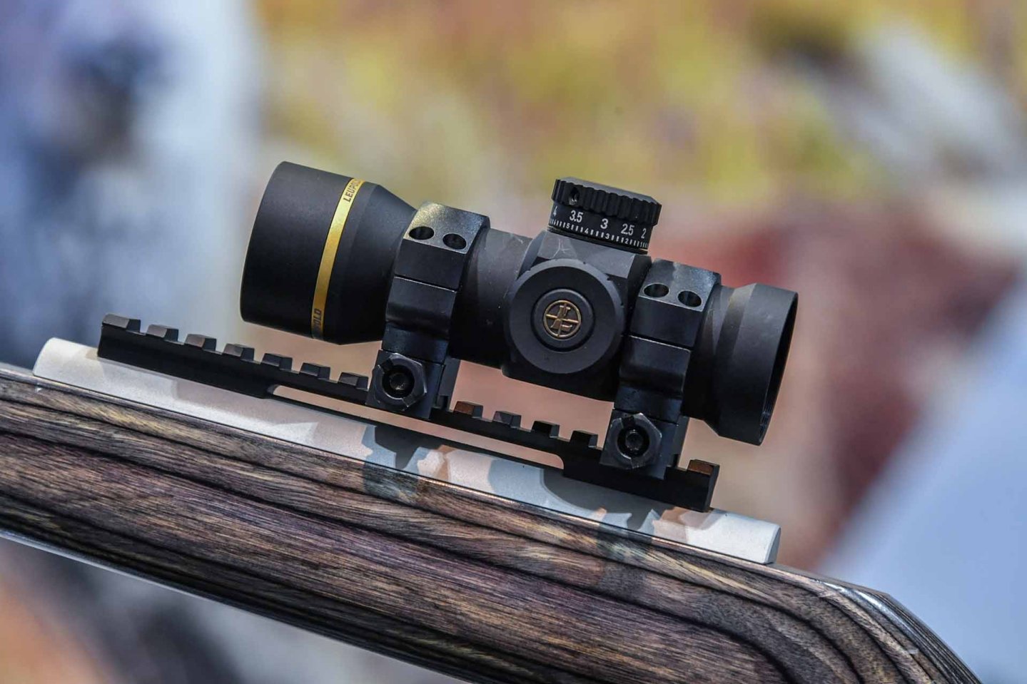 Leupold Freedom RDS BDC