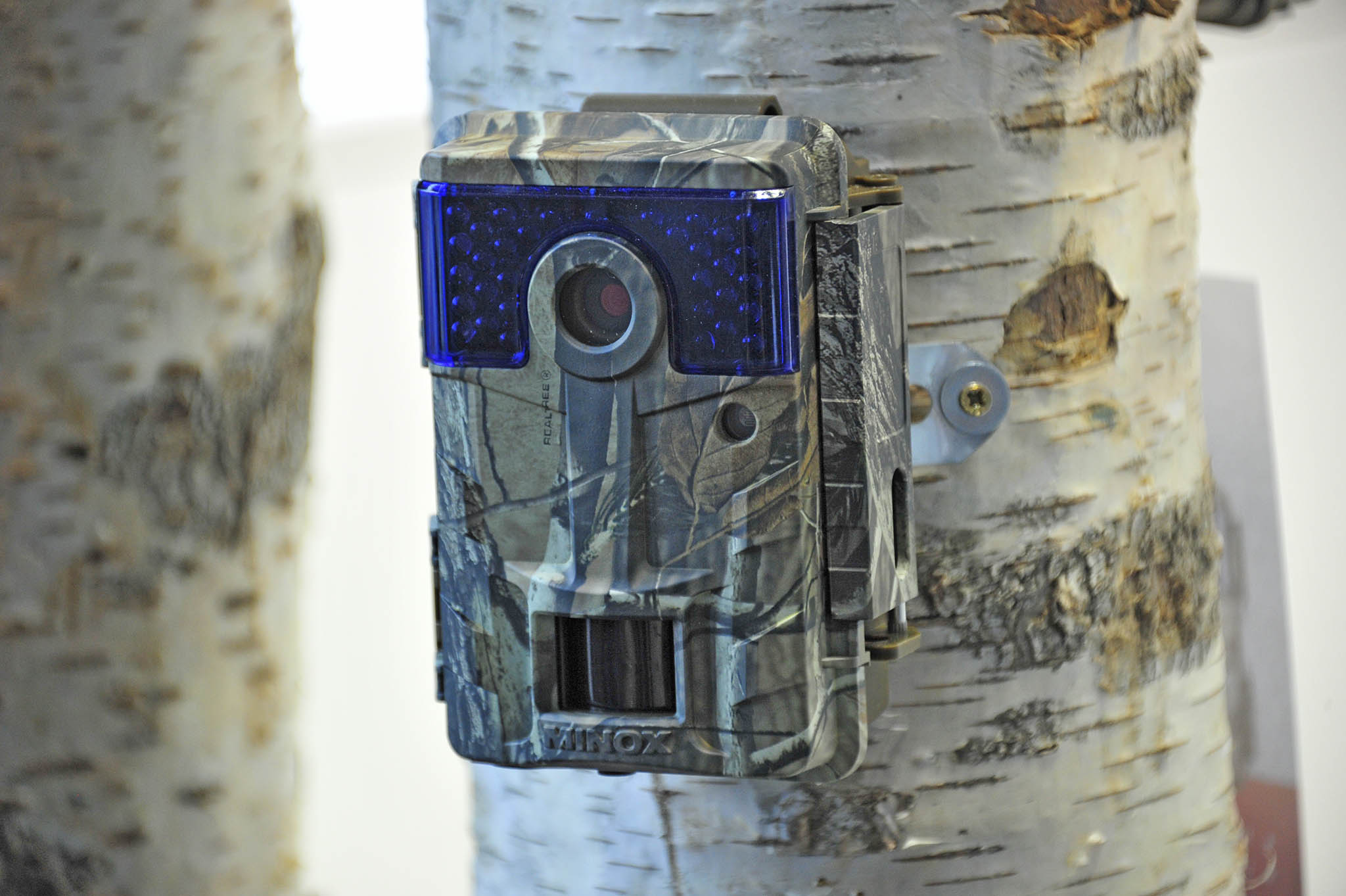 minox: Minox DTC700, nuova fototrappola con chassis separato