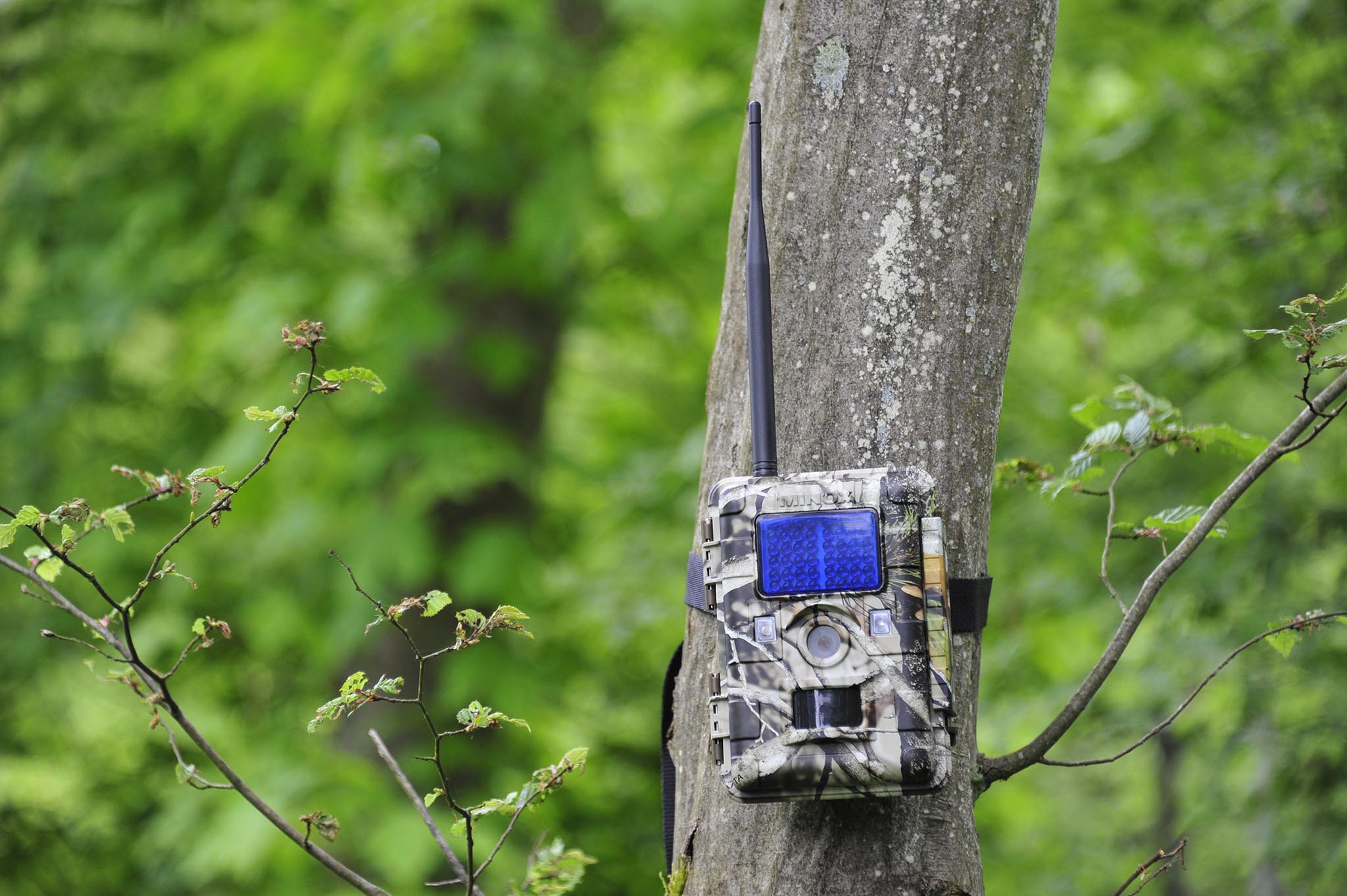 minox: Minox fototrappole DTC 700 e DTC 1100