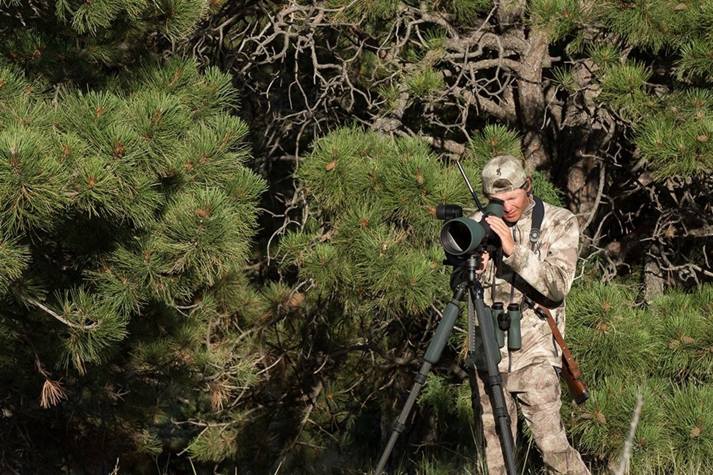 Novità da Swarovski Optik un obiettivo da 115 mm per il cannocchiale da osservazione modulare Cacciatore con obiettivo da 115 mm di Swarovski Optik