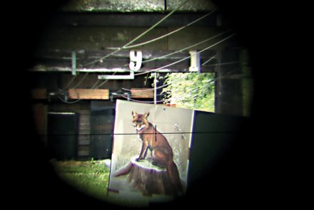 Test: Swarovski Z6i 1-6x24 reticolo