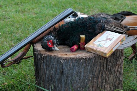 Nobel Sport Italia Nobel Sport Italia