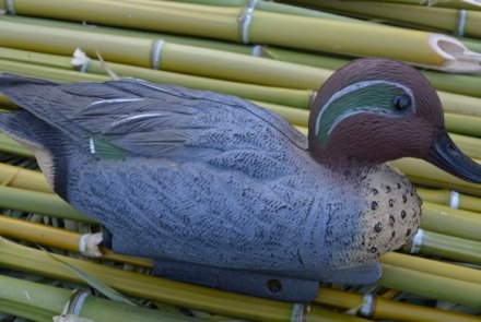 Stampo in plastica di alzavola