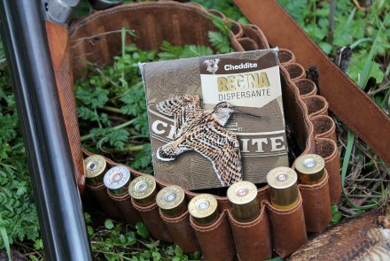 Cheddite Regina Cheddite Regina