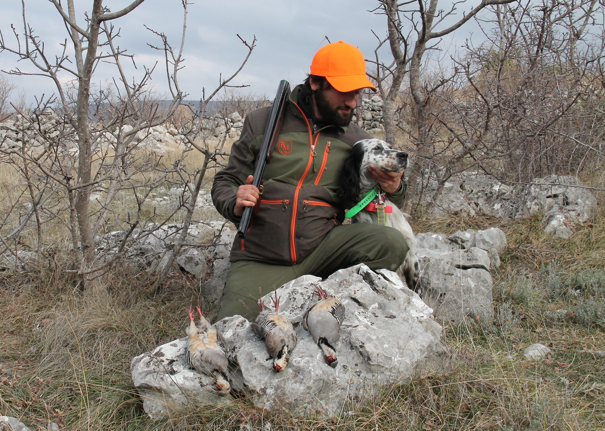specie-animali-cacciabili: La Coturnice: Caccia, tecnica, consigli utili