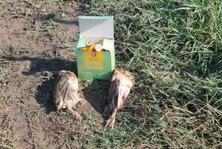 Fiocchi Bior Fiocchi Bior