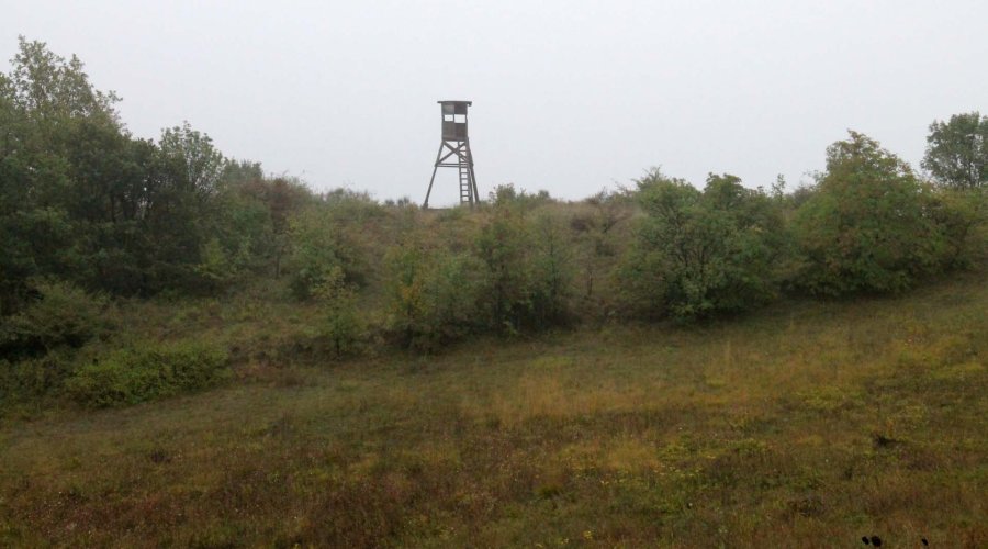 G&G Hunting Services