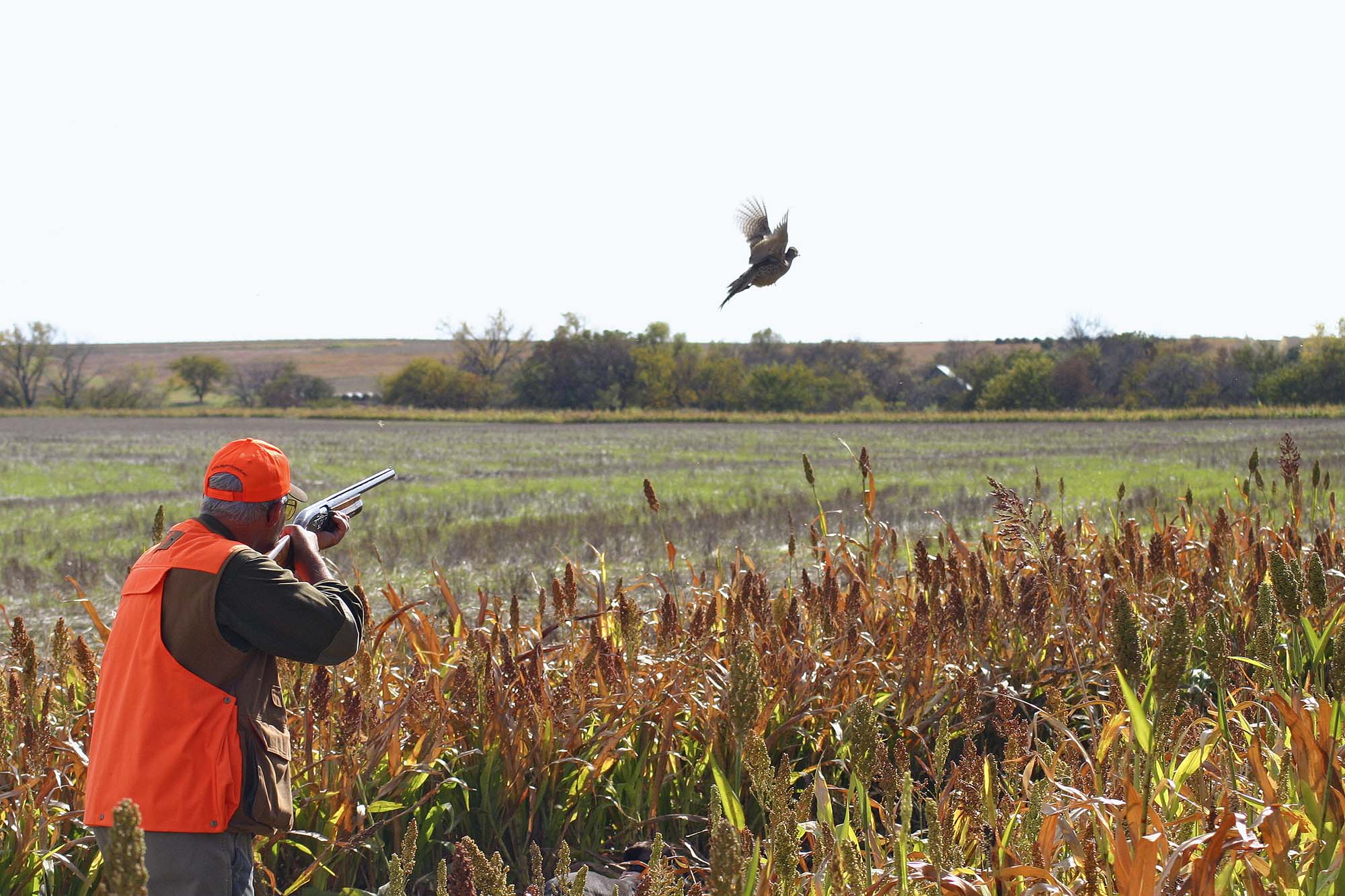 caccia: A caccia con giudizio e passione