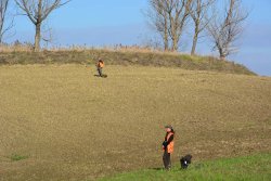 A caccia di cinghiali. Il tiro in battuta: controllo e precisione A caccia di cinghiali. Il tiro in battuta: controllo e precisione