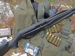 A caccia di cinghiali. Il tiro in battuta: controllo e precisione Fucile Benelli Vinci