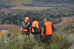 A caccia di cinghiali. Il tiro in battuta: controllo e precisione A caccia di cinghiali. Il tiro in battuta: controllo e precisione