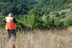 A caccia di cinghiali. Il tiro in battuta: controllo e precisione A caccia di cinghiali. Il tiro in battuta: controllo e precisione