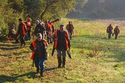 A caccia di cinghiali. Il tiro in battuta: controllo e precisione A caccia di cinghiali. Il tiro in battuta: controllo e precisione