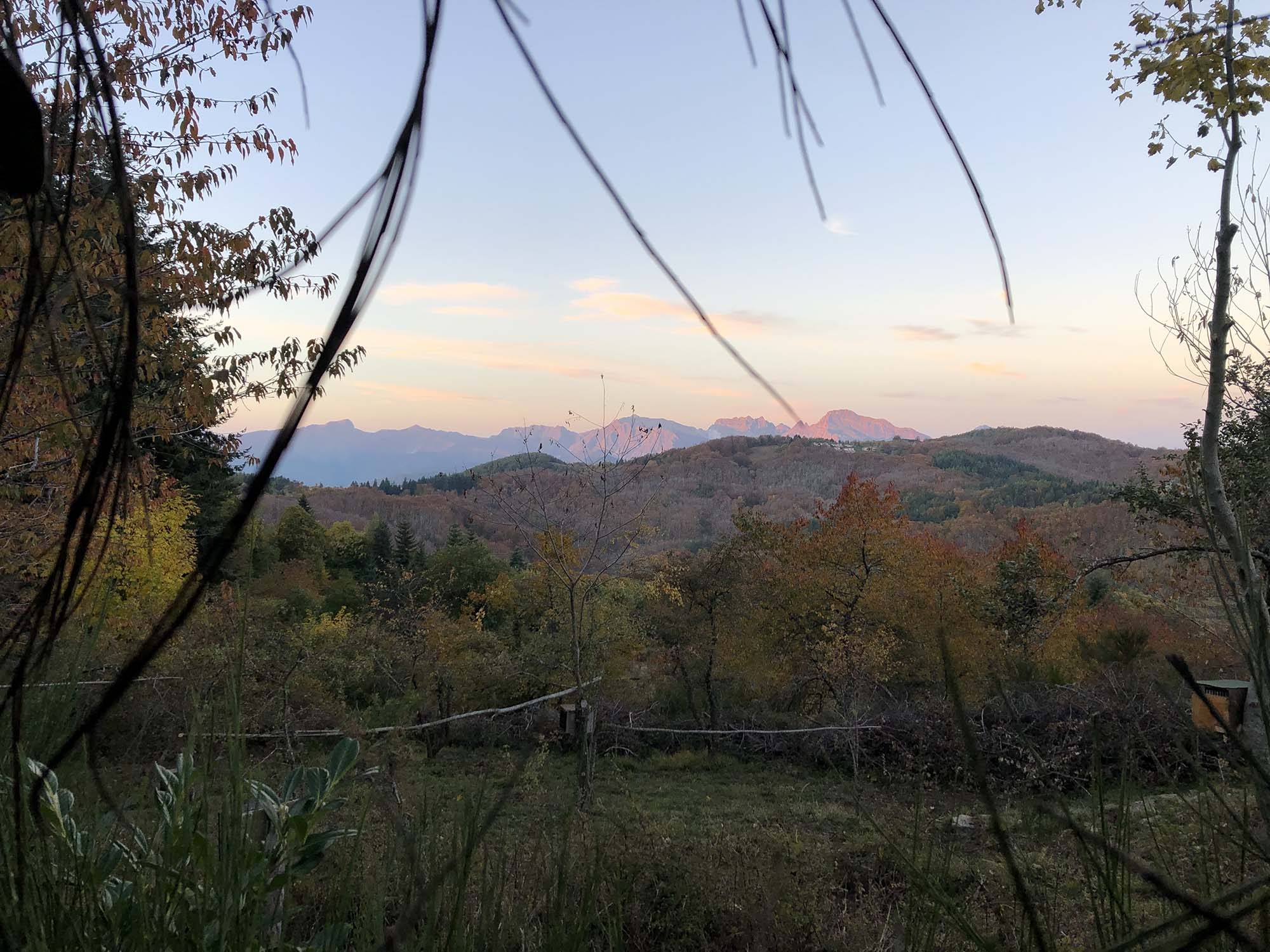 cultura-venatoria: Una giornata al capanno nell’alta Garfagnana