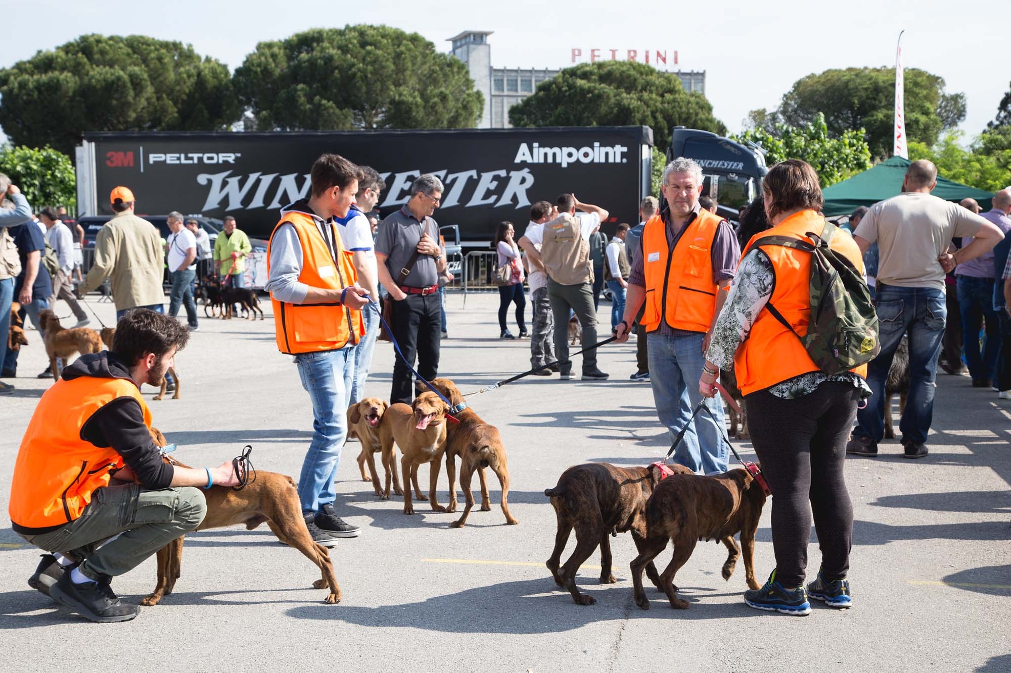 Caccia Village: Caccia Village è rinviato al 2021: la lettera di Andrea Castellani a tutti gli espositori e appassionati