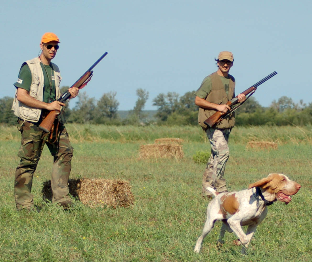 caccia: CNCN:collaborazione fra Associazioni Venatorie e Legambiente