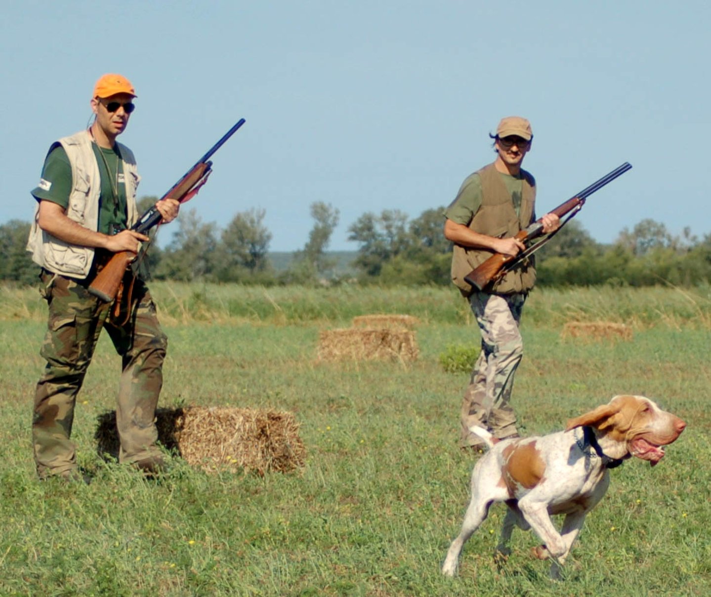Fucili e cartucce da quaglie Fucili e cartucce da quaglie