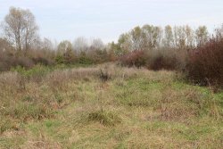 Caccia vera in azienda faunistico venatoria Caccia vera in azienda faunistico venatoria