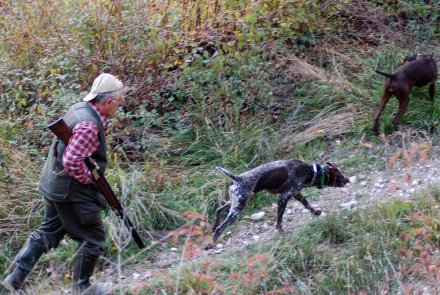 Beccaccia: attingere la rimessa Beccaccia: attingere la rimessa