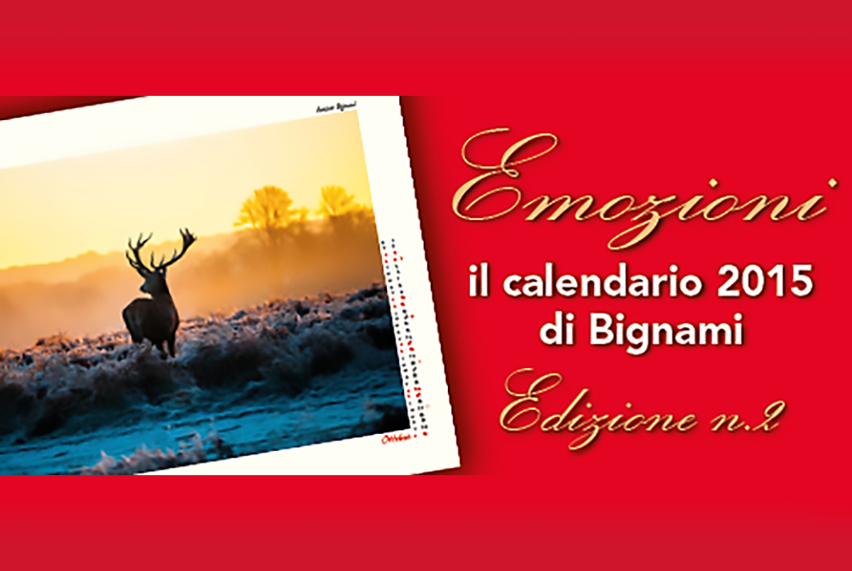 bignami: Calendario Bignami 2015