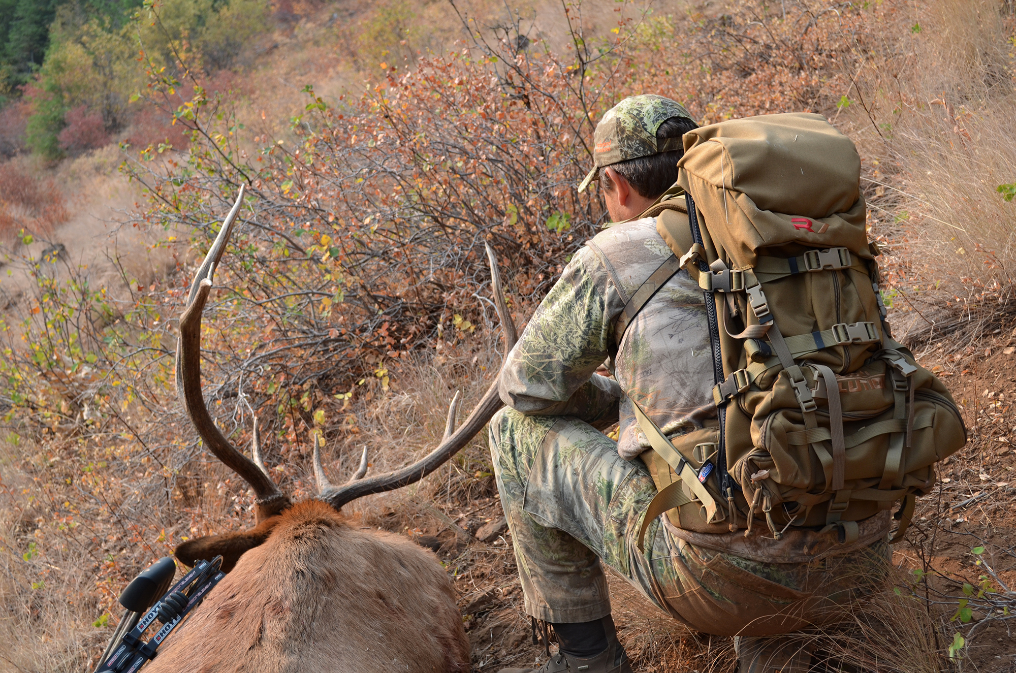 caccia: Bowhunting... la caccia con l'arco